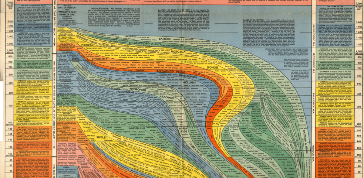 Histomap Example De la carte à l’œuvre d’art : The Histomap of Evolution, par John B ...